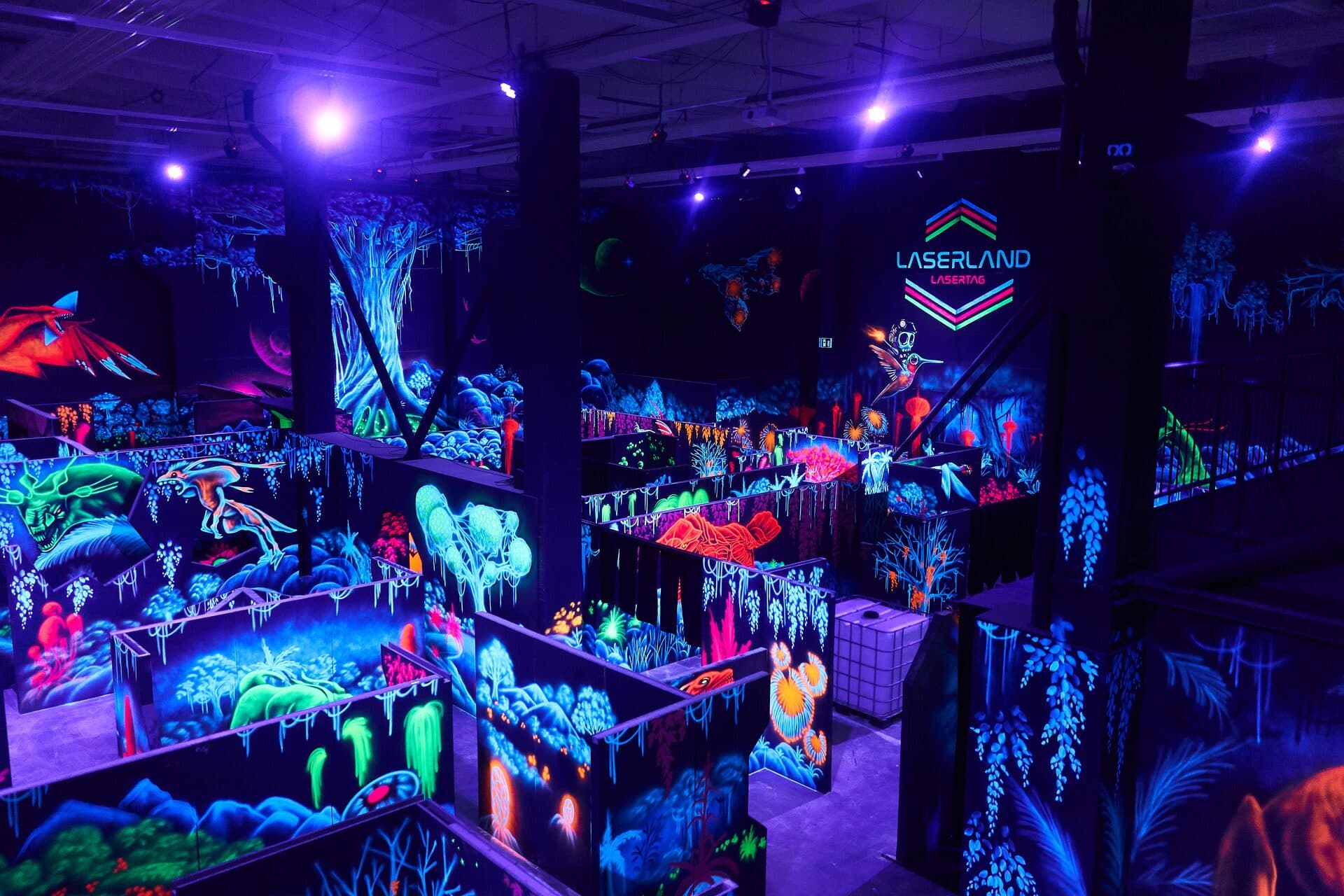 Gruppe spielt Lasertag in der Arena Bautzen