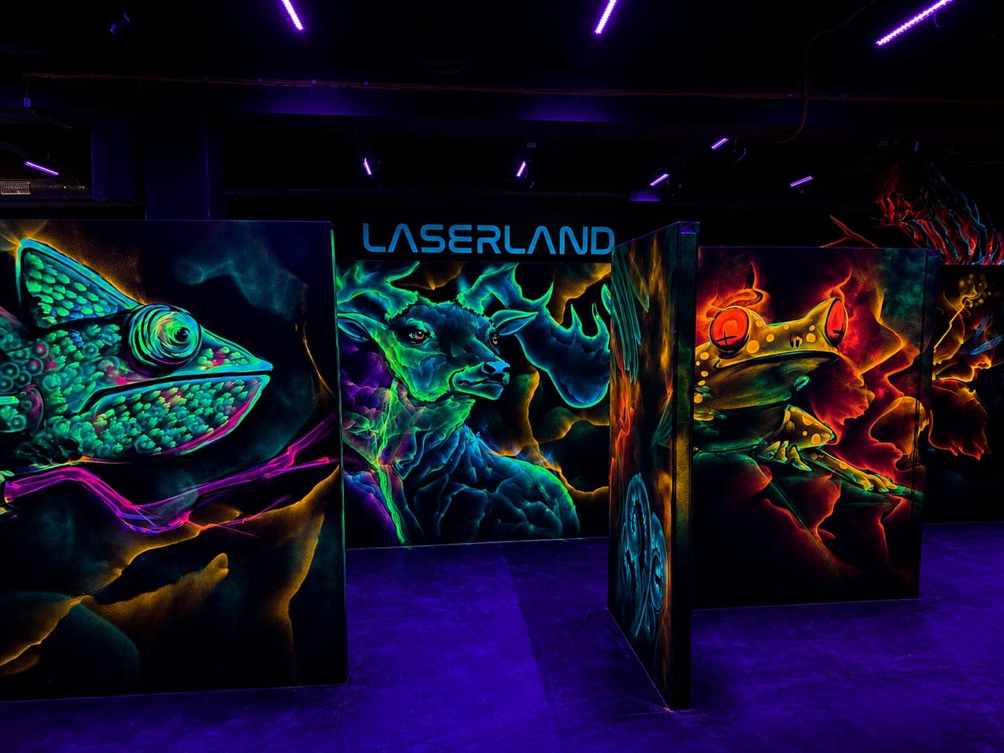 Lasertag Funsport ohne Schmerzen im Laserland Chemnitz
